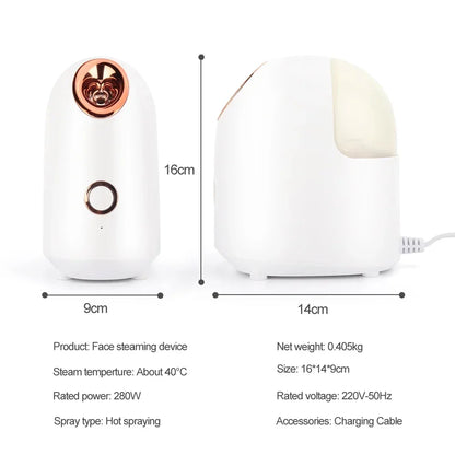 Amazing Face Steamer