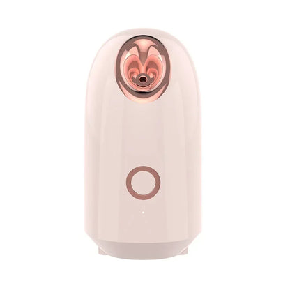 Amazing Face Steamer